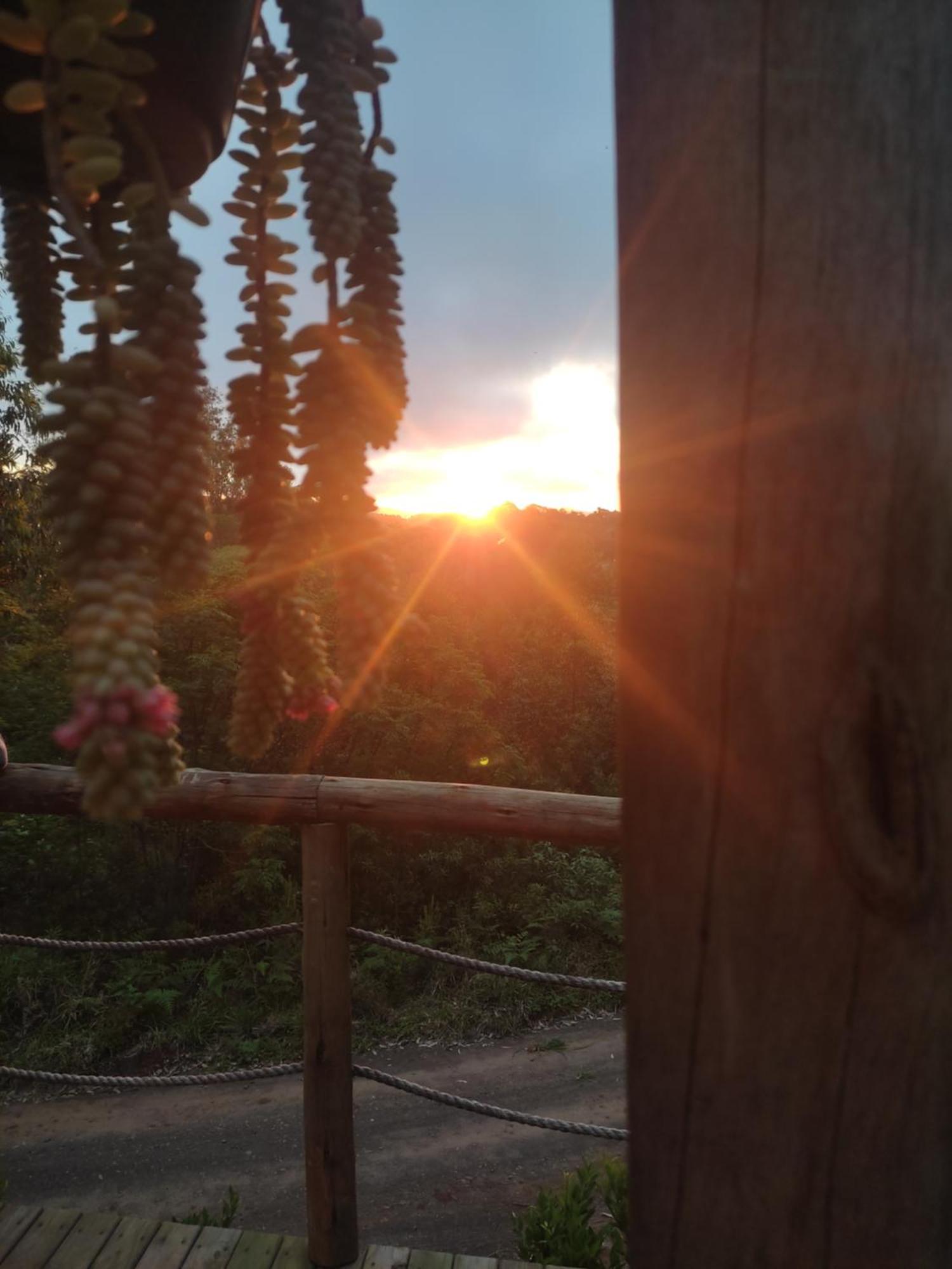 Cabana Rustica Logcabin Osorio Luaran gambar